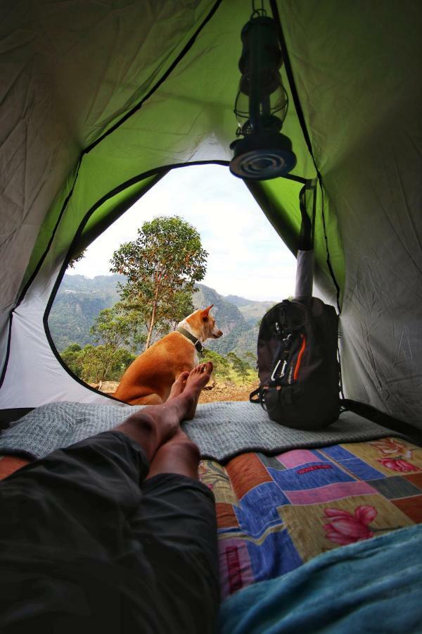 Eco Lodge Haputale-Camping Sri lanka Exterior foto